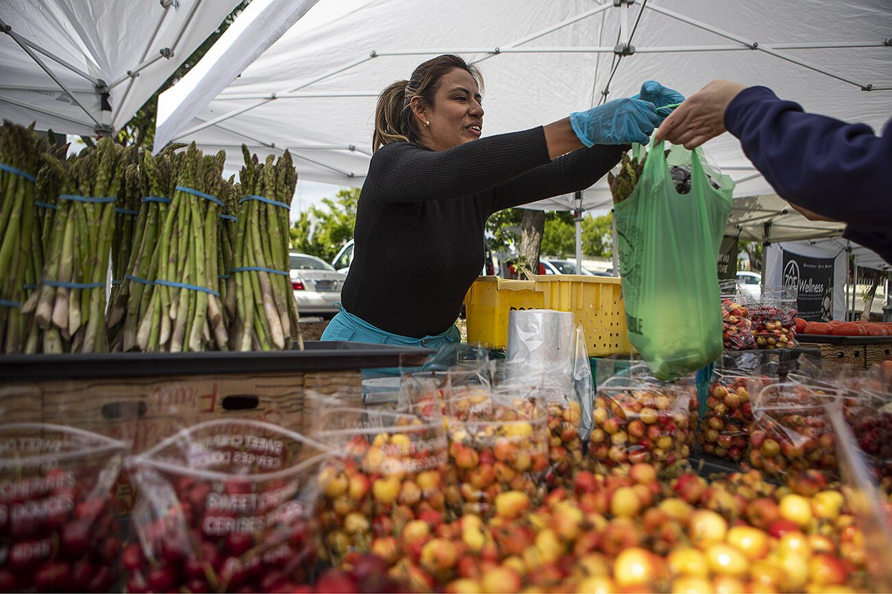 Patricia Robles from Cazares Farms hands a bag to a patron at the Everett Farmers Market across from the Everett Station in Everett, Washington on Wednesday, June 14, 2023. (Annie Barker / The Herald)