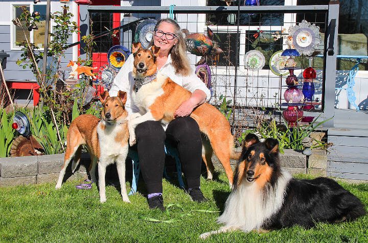 Corinne Boon poses with three collies she bred: 2 year-old Tsunami, left, 5-year-old Maree, on lap, and 2-year-old Vision. The dogs have been going to sheep school, where they learn how to herd sheep, Boon said. (Luisa Loi / Whidbey News-Times)