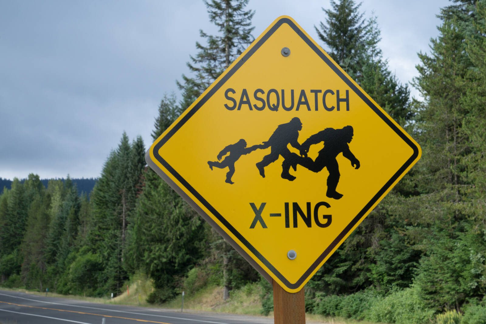 Described as a large, ape-like creature, sightings of Sasquatch have been reported for centuries, with many claiming to have encountered the elusive beast firsthand.