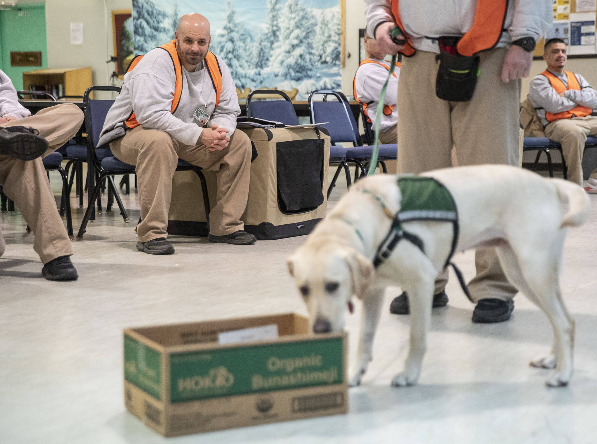 Rickie Wright, left, watches a training exercise during a weekly meeting of the Summit Assistance Dogs program at the Monroe Correctional Complex on Tuesday, Feb. 6, 2024 in Monroe, Washington. (Olivia Vanni / The Herald)