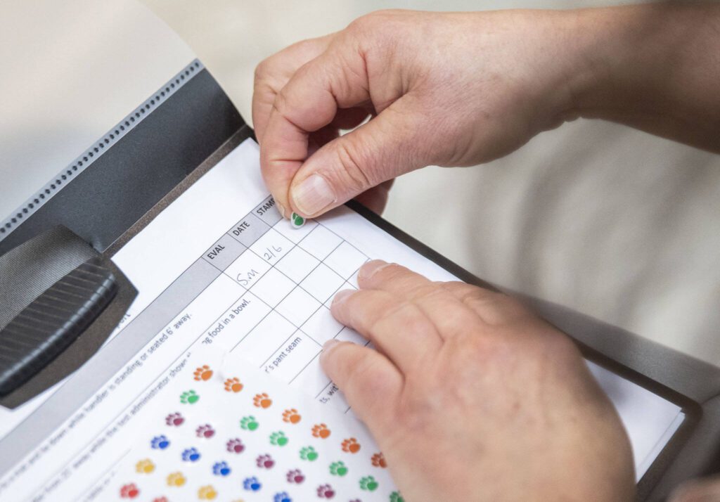 Sue Meinzinger places a paw sticker on a training tracking sheet on Tuesday, Feb. 6, 2024 in Monroe, Washington. (Olivia Vanni / The Herald)
