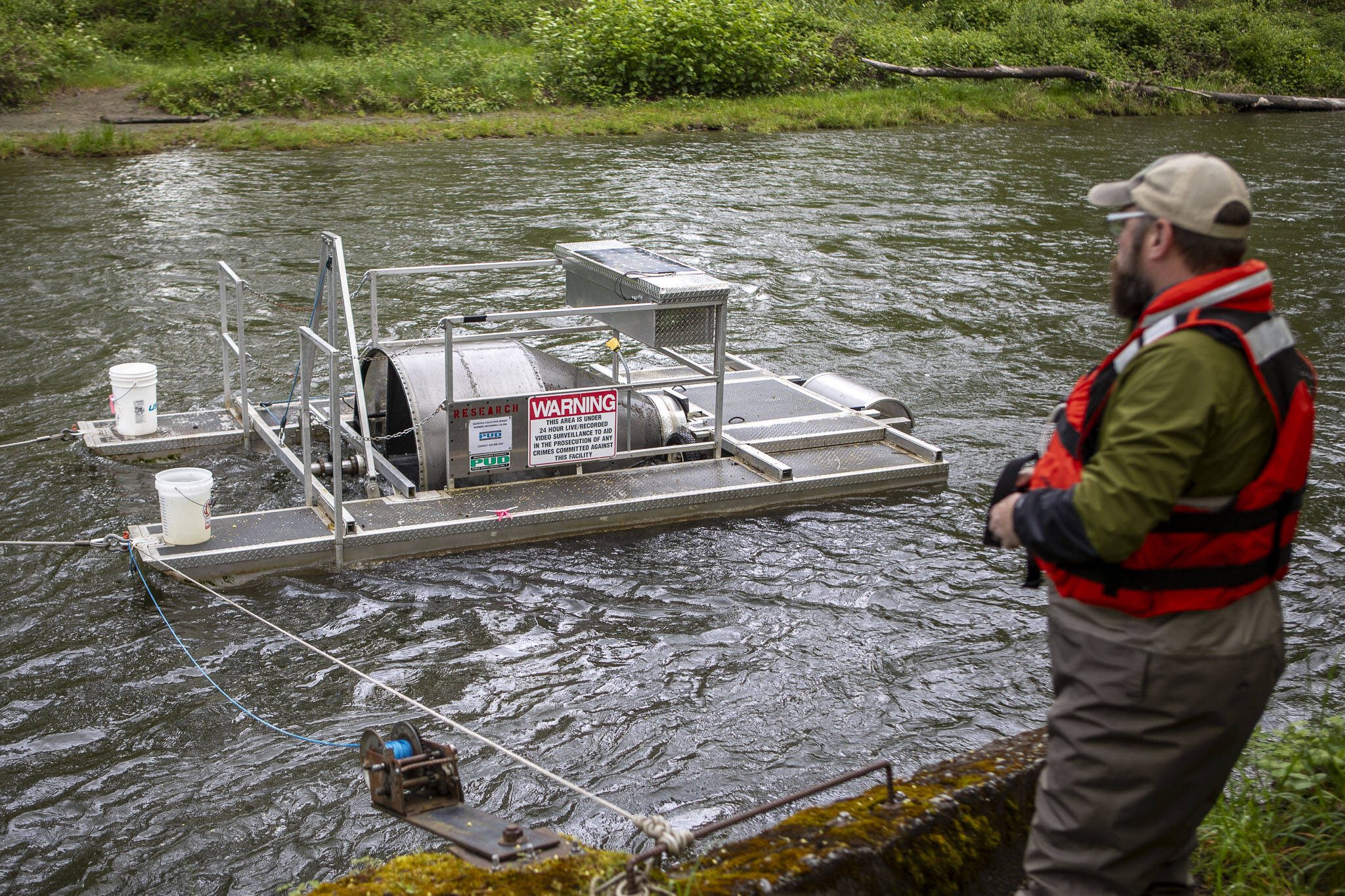 Fish biologist Andrew McDonnell reels in a PUD smolt trap to board it near Sportsman Park in Sultan, Washington on May 6, 2024. (Annie Barker / The Herald)