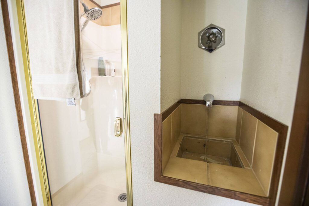 A small shower and a “cat bath” located in a basement bathroom. A previous owner had many cats. (Olivia Vanni / The Herald)
