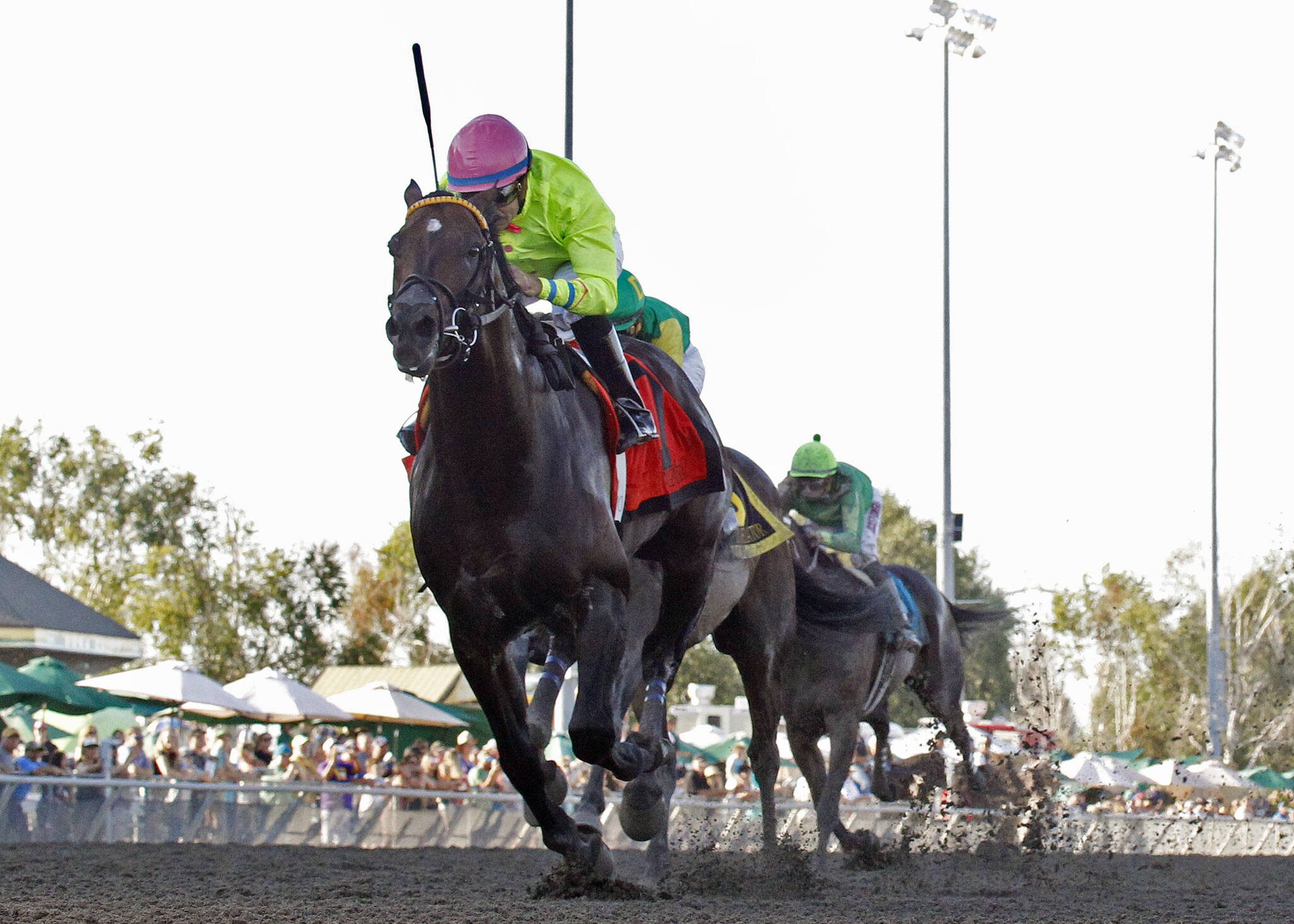 Five Star General won the 2023 Longacres Mile. (Photo courtesy of Emerald Downs)