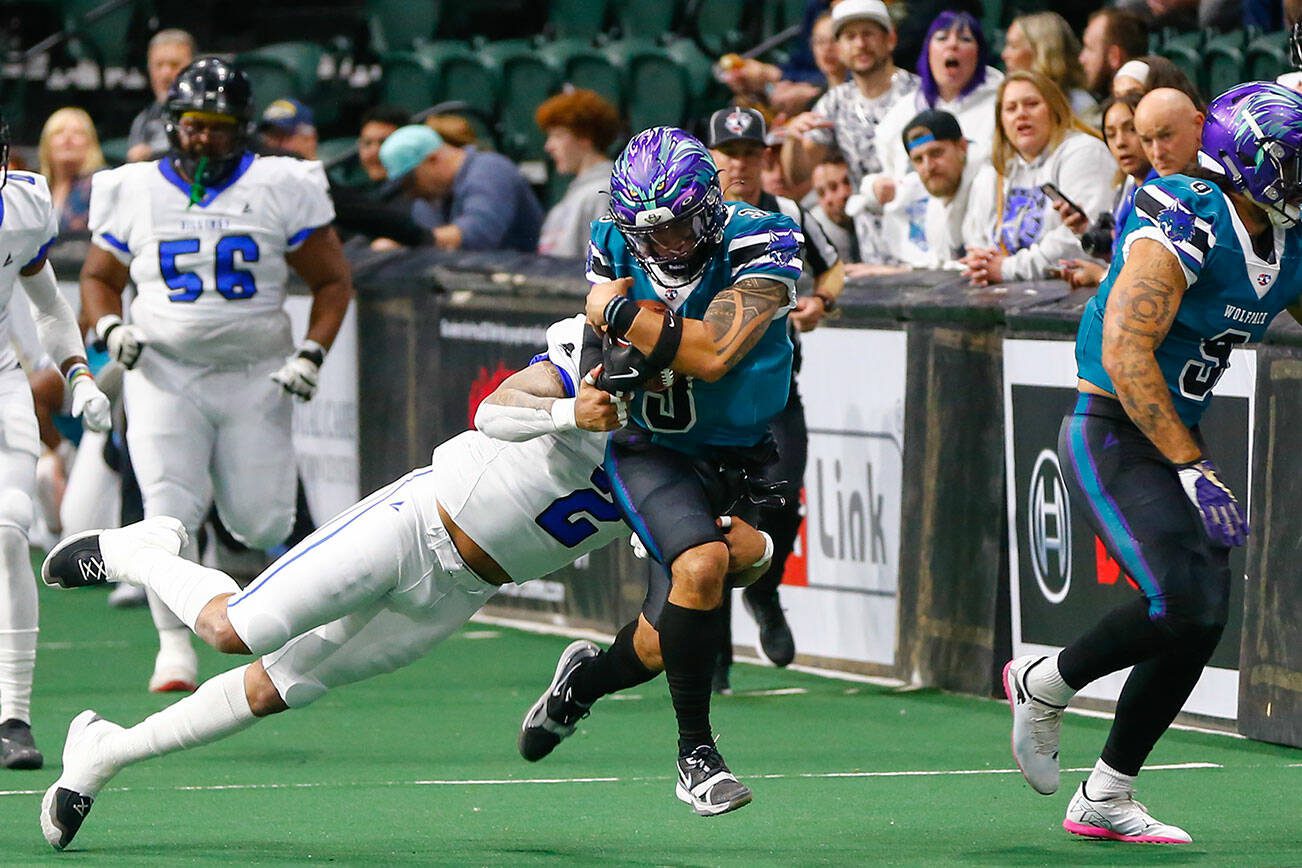 Quarterback Jacob Ta’ase gets tackled during the Washington Wolfpack’s inaugural home opener against Billings on Sunday, May 5, 2024, a Angel of the Winds Arena in Everett, Washington. (Ryan Berry / The Herald)