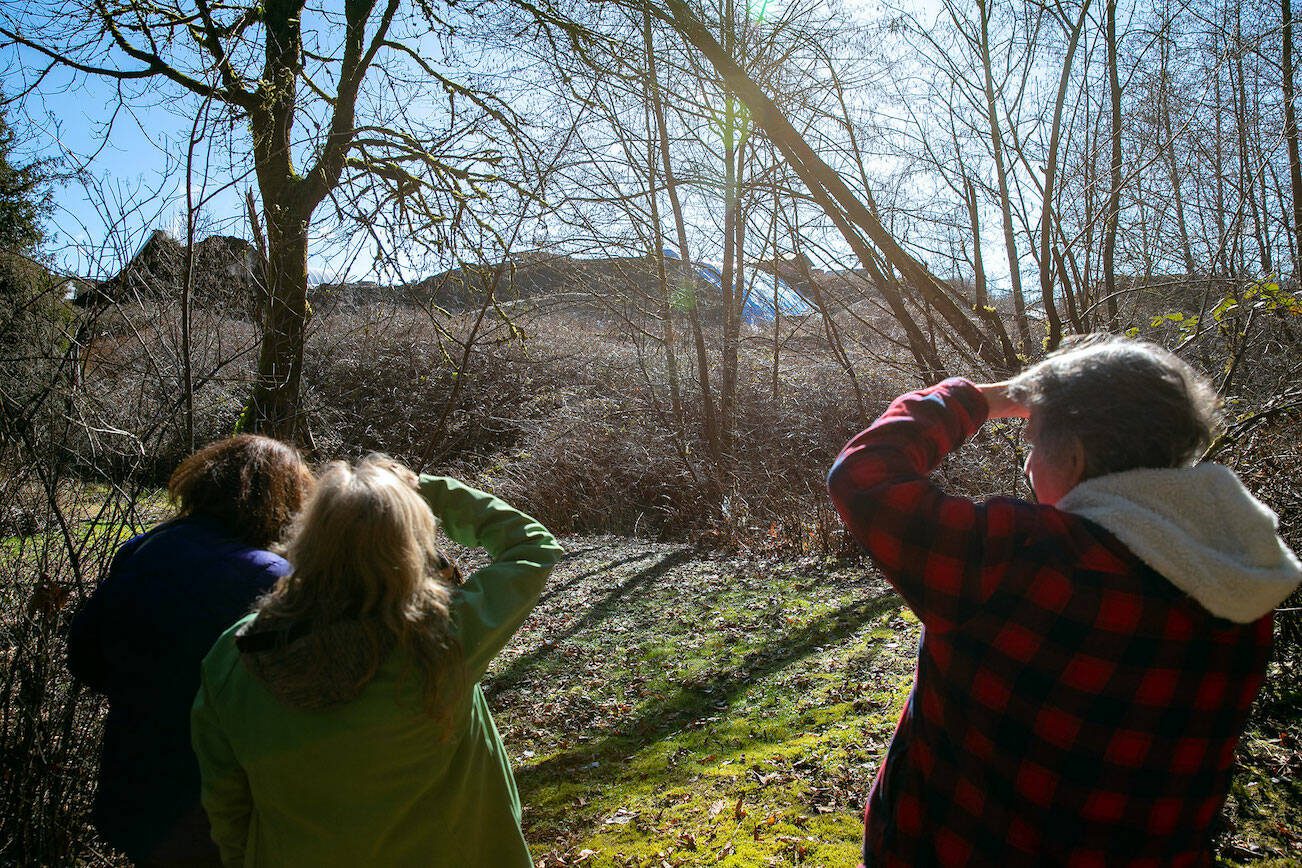 Neighbors stand in Lisa Jansson’s yard to get a view of the wall of processed wood remains, or “hog fuel,” building up along the property’s border with DTG on Tuesday, March 5, 2024, in Snohomish, Washington. (Ryan Berry / The Herald)