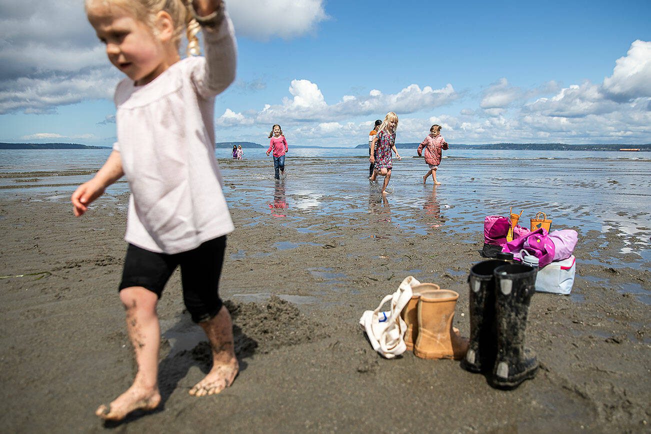 Rylee Fink, 3, left, stomps through the sand while other children run through the water during a low tide at Howarth Park on Tuesday, May 7, 2024 in Everett, Washington. (Olivia Vanni / The Herald)