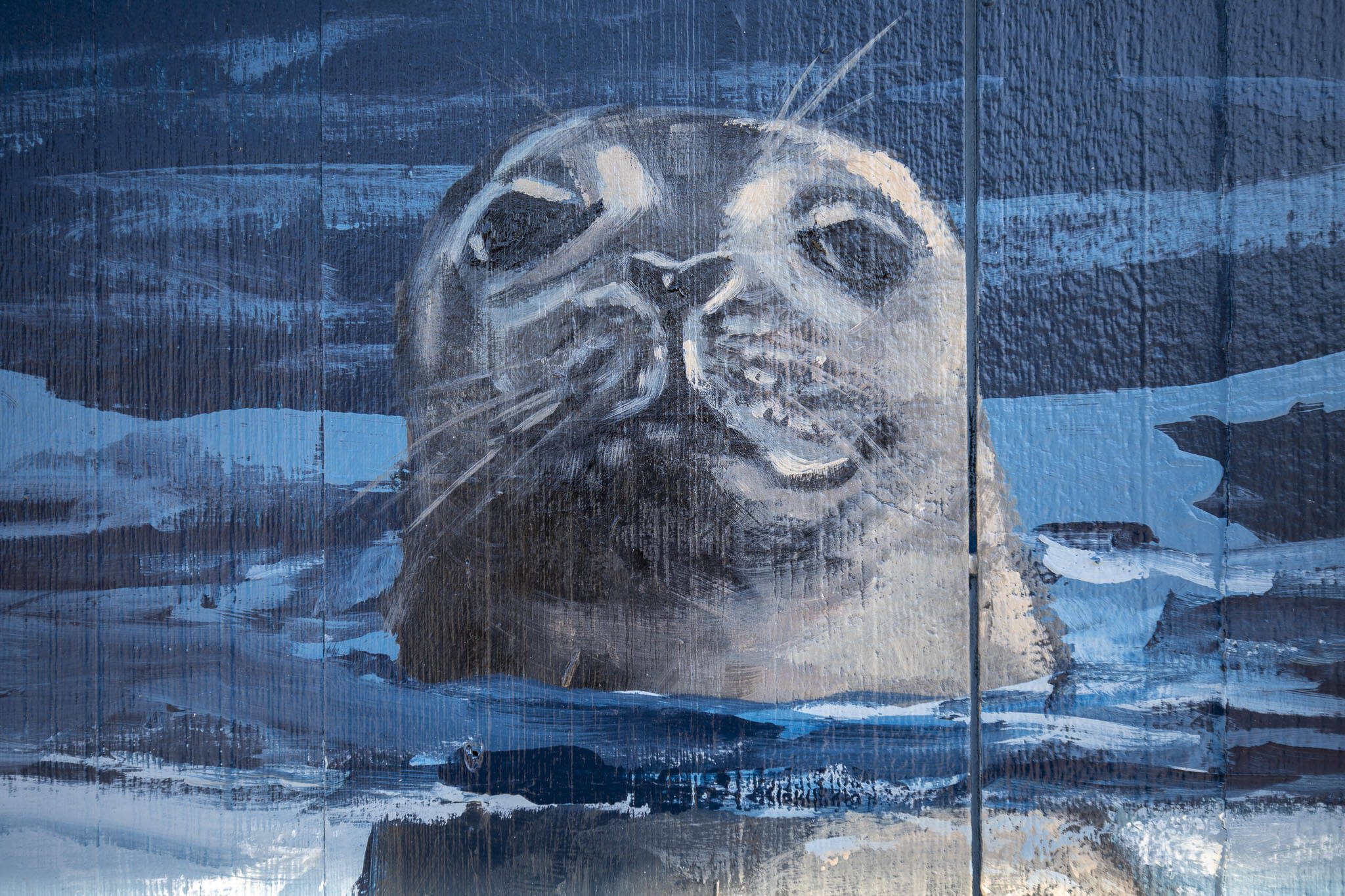 Downtown Everett mural brings wild animals, marine creatures to life |...