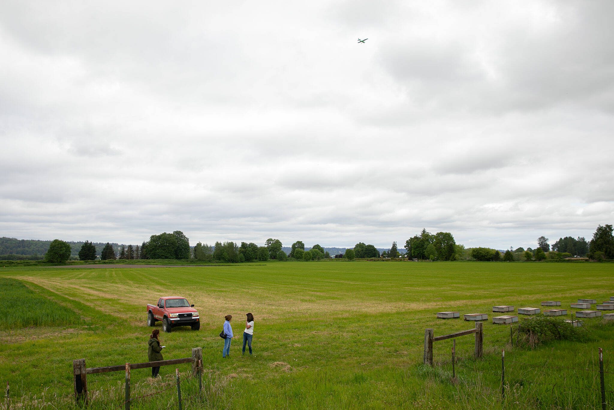 An airplane near Harvey Field flies over Bailey Farm as concerned residents Barbara Bailey and Beth Jarvis walk through a pasture near a levee on Monday, May 13, 2024, at Bailey Farm in Snohomish, Washington. The women have multiple concerns about the proposed expansion of Harvey Field, including how it will affect the floodplains around the Snohomish River, which contains a number of farms, homes and roads. (Ryan Berry / The Herald)