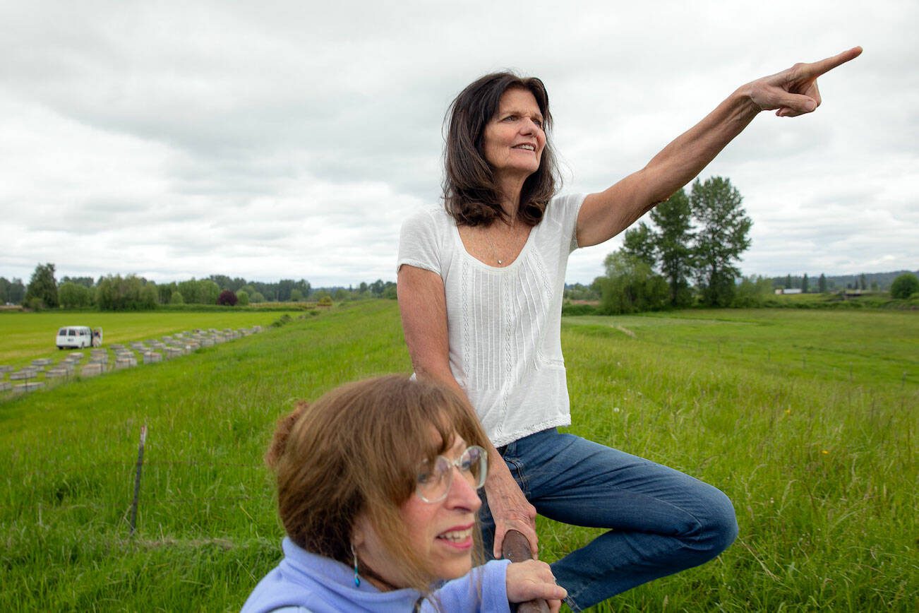 Snohomish residents Barbara Bailey, right, and Beth Jarvis sit on a gate atop a levee on Bailey’s property on Monday, May 13, 2024, at Bailey Farm in Snohomish, Washington. Bailey is concerned the expansion of nearby Harvey Field Airport will lead to levee failures during future flood events due to a reduction of space for floodwater to safely go. (Ryan Berry / The Herald)