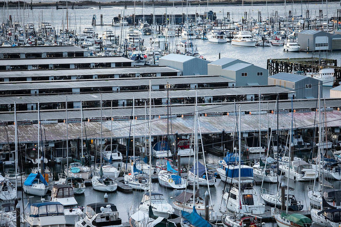 The Port of Everett and Everett Marina on Tuesday, Dec. 19, 2023 in Everett, Washington. (Olivia Vanni / The Herald)