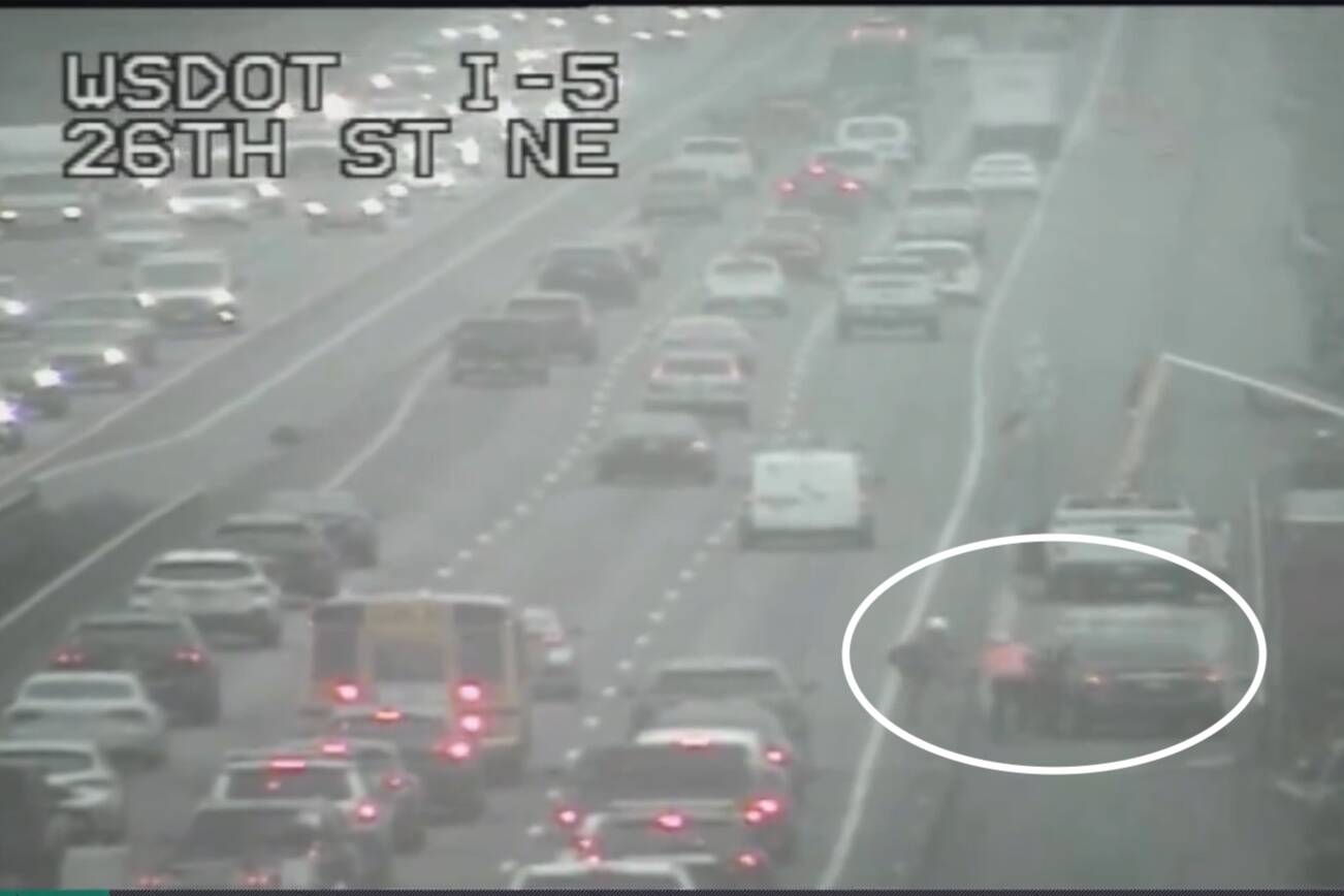 Two people fight on the side of I-5 neat Marysville. (Photo provided by WSDOT)