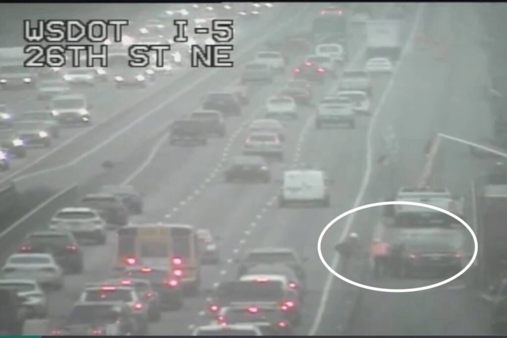 Two people fight on the side of I-5 neat Marysville. (Photo provided by WSDOT)
