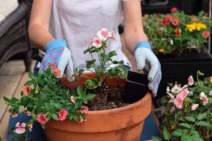 Building custom containers allows you to pick the mix of plants that speaks to your personal style. (Getty Images)