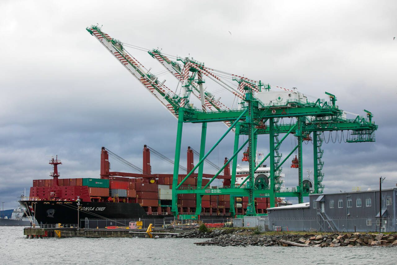 The vessel Tonga Chief, a 10-year-old Singaporean container ship, is moored at the Port of Everett Seaport In November, 2023, in Everett. (Ryan Berry / The Herald file photo)