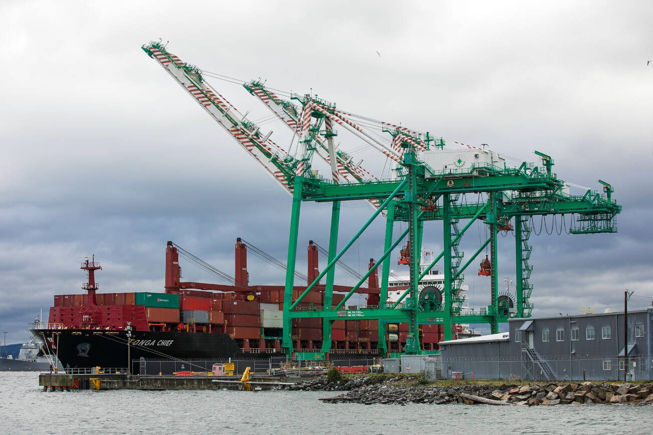 The vessel Tonga Chief, a 10-year-old Singaporean container ship, is moored at the Port of Everett Seaport in November, 2023, in Everett. (Ryan Berry / The Herald file photo)