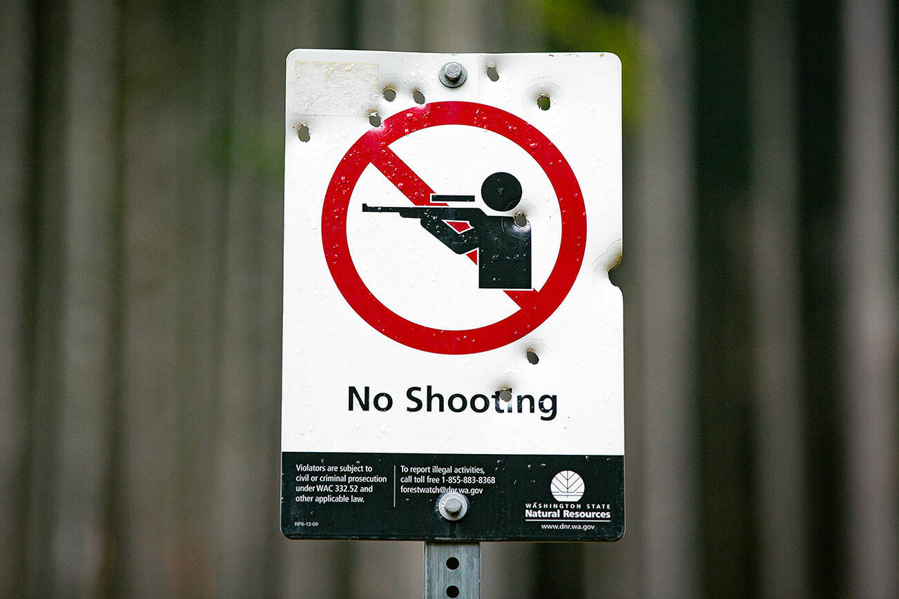 A “No Shooting” sign on DNR land near Spada Lake is full of bullet holes on Thursday, Feb. 8, 2024, along Sultan Basin Road near Sultan, Washington. People frequent multiple locations along the road to use firearms despite signage warning them not to. (Ryan Berry / The Herald)