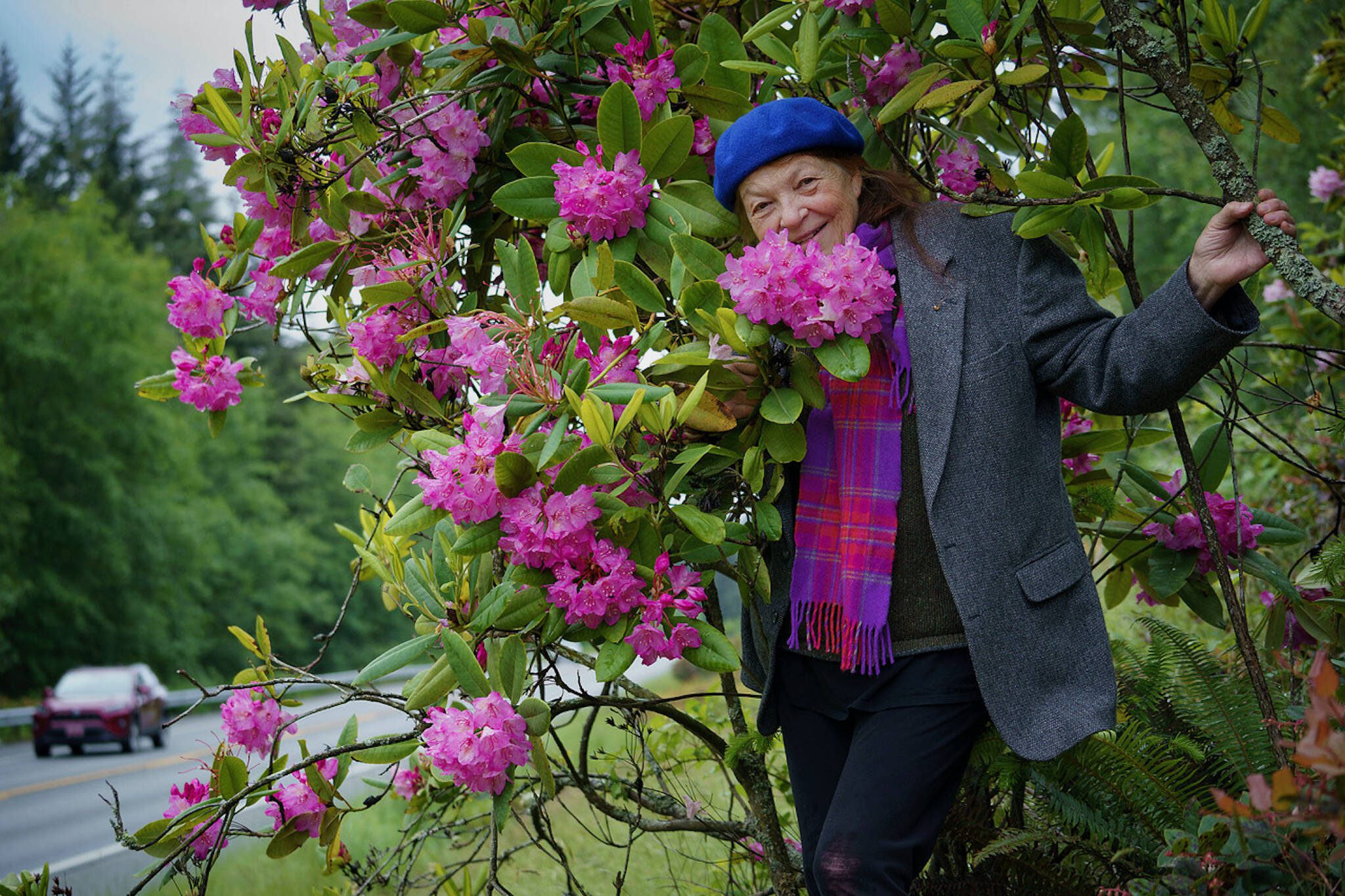 Greenbank resident Kristi O’Donnell poses for a photo with a patch of rhododendrons at the side of Highway 525 that she helped save nearly 20 years ago. (Photo by David Welton)