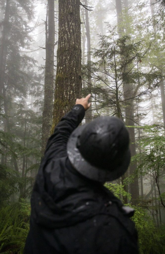 Mark Arneson, Department of Natural Resources cascade district manager, talks about tree growth in a portion of the Stilly Revisited timber sale on Wednesday, May 29, 2024 in Arlington, Washington. (Olivia Vanni / The Herald)
