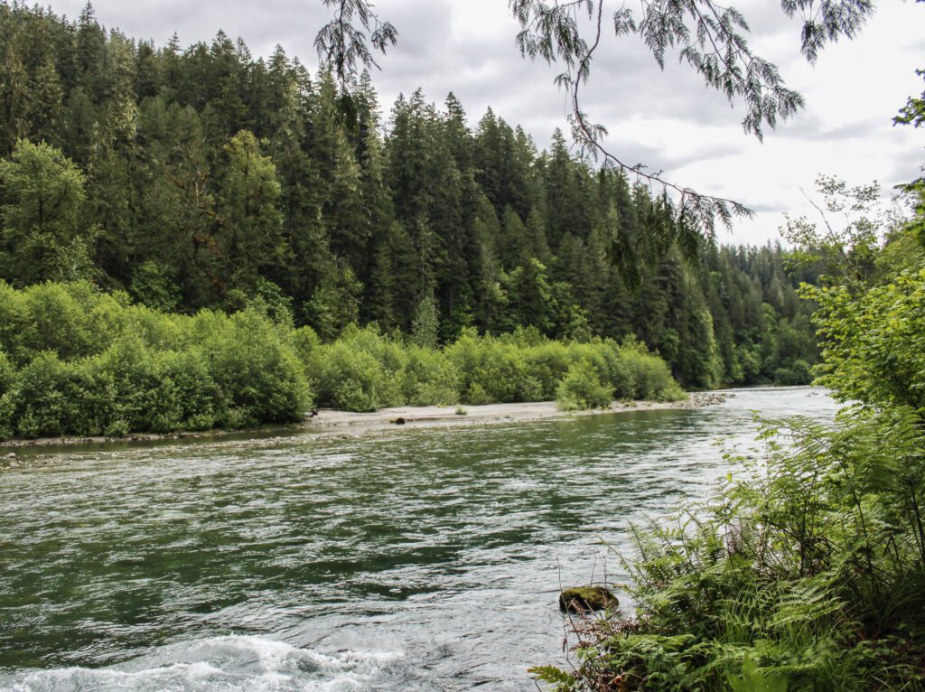 The Sauk River visible from the Old Sauk Trail on Monday, May 27, 2024 in Darrington, Washington. (Ta’Leah Van Sistine / The Herald)
