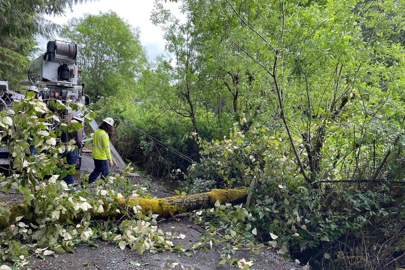 Snohomish County PUD crews respond to a downed power line on Monday, June 3, 2024, in Mill Creek. (Photo provided by Snohomish County PUD)