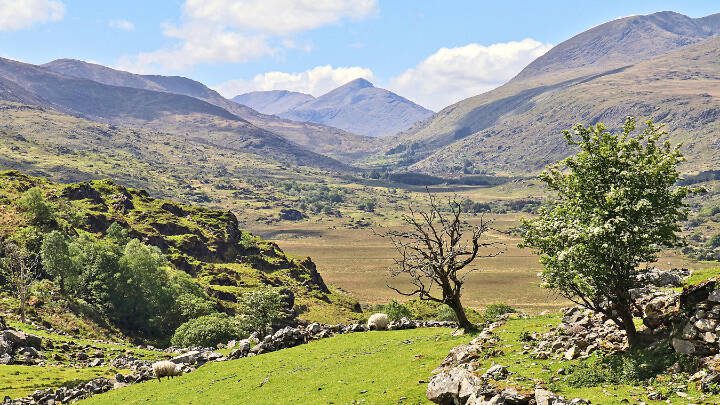 A drive along the Ring of Kerry presents classic views of the Irish countryside. (Pat O’Connor / Rick Steves’ Europe)