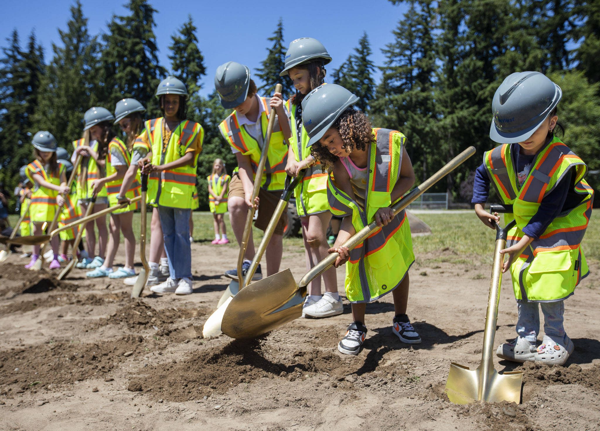 Naiyah Smith, 6, uses a large golden shovel to break ground with a handful of her schoolmates at Oak Heights Elementary on Tuesday, June 25, 2024, in Lynnwood, Washington. (Olivia Vanni / The Herald)