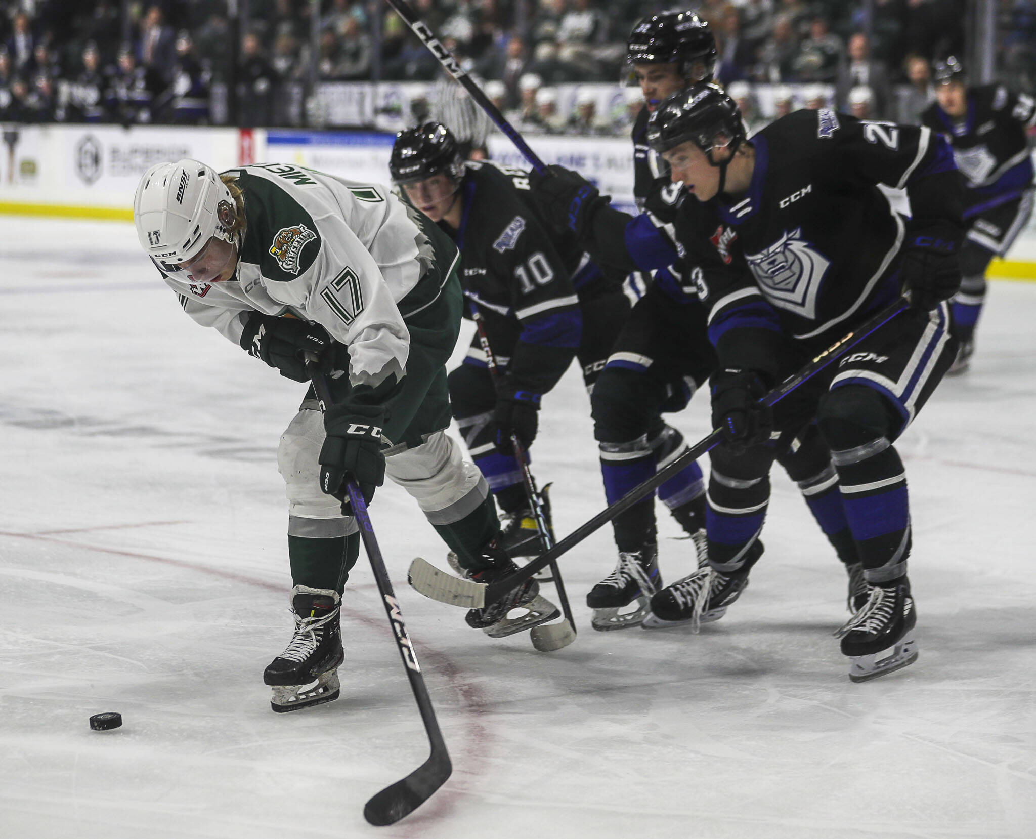 Silvertips’ Julius Miettinen (17) fights for the puck during a game between the Everett Silvertips and Victoria Royals at the Angel of the Winds Arena on Saturday, Sept. 23, 2023. (Annie Barker / The Herald)