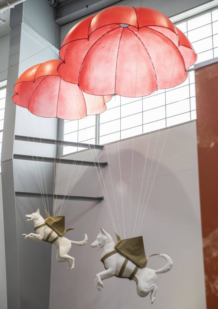3D-printed dogs demonstrate how some dogs in war would jump and parachute from planes in the Charlie Hangar of the Flying Heritage & Combat Armor Museum on Friday, March 29, 2024 in Everett, Washington. (Olivia Vanni / The Herald)
