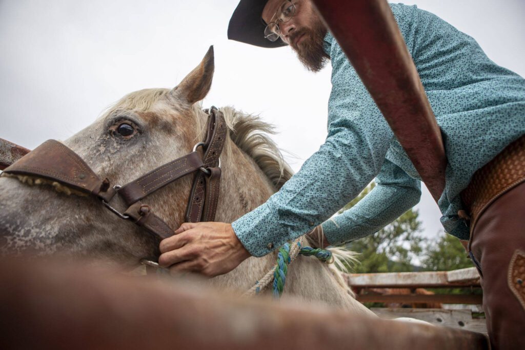 Ryan Anderson prepares to ride during the Timberbowl Rodeo in Darrington, Washington, on Saturday, June 29, 2024. (Annie Barker / The Herald)
