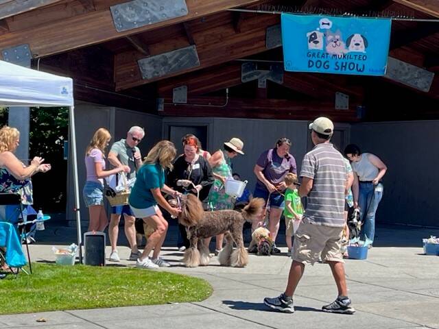 The winner of the 2023 Great Mukilteo Dog Show at Lighthouse Park in Mukilteo. (Photo provided by Kandace Barnes)