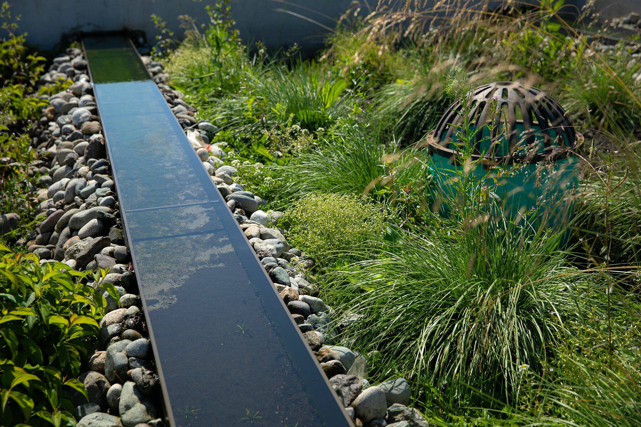 Components of downtown Marysville’s new stormwater treatment facility can be seen from the walkway on Thursday, July 11, 2024, in Marysville, Washington. While much of the treatment and filtering happens out of sight, visitors of the area will see troughs, left, spilling water out onto the surrounding landscape, which soaks up the filtered water before it makes its way into Ebey Slough. Overflow grates, right, help alleviate flooding during heavy rains. (Ryan Berry / The Herald)