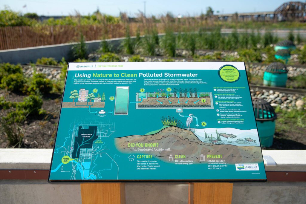 An interpretive sign describes the filtration process used at the downtown Marysville stormwater treatment plant on Thursday, July 11, 2024, in Marysville, Washington. (Ryan Berry / The Herald)
