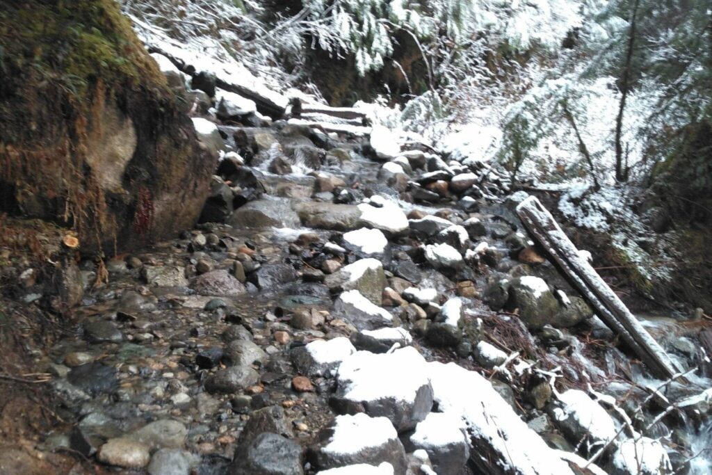 Lake 22 trail will close Wednesday, July 10, 2024, and will remain closed through Oct. 10, 2024, for maintenance. This will give crews time to repair damage from flooding in December. (Provided by U.S. Forest Service)

