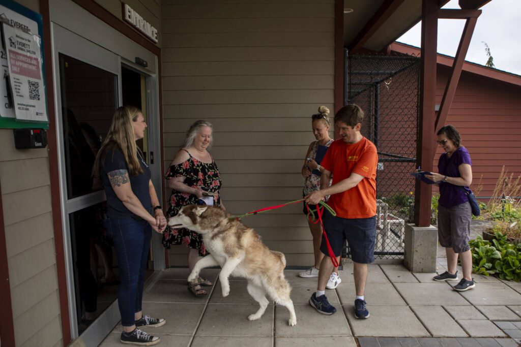 People check out dogs for a Wandering Rover field trip at the Everett Animal Shelter in Everett on July 17, 2024. (Annie Barker / The Herald)
