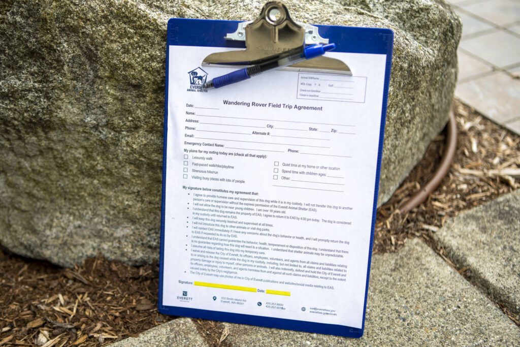 The form for the Wandering Rover field trip at the Everett Animal Shelter in Everett, Washington on Wednesday, July 17, 2024. (Annie Barker / The Herald)
