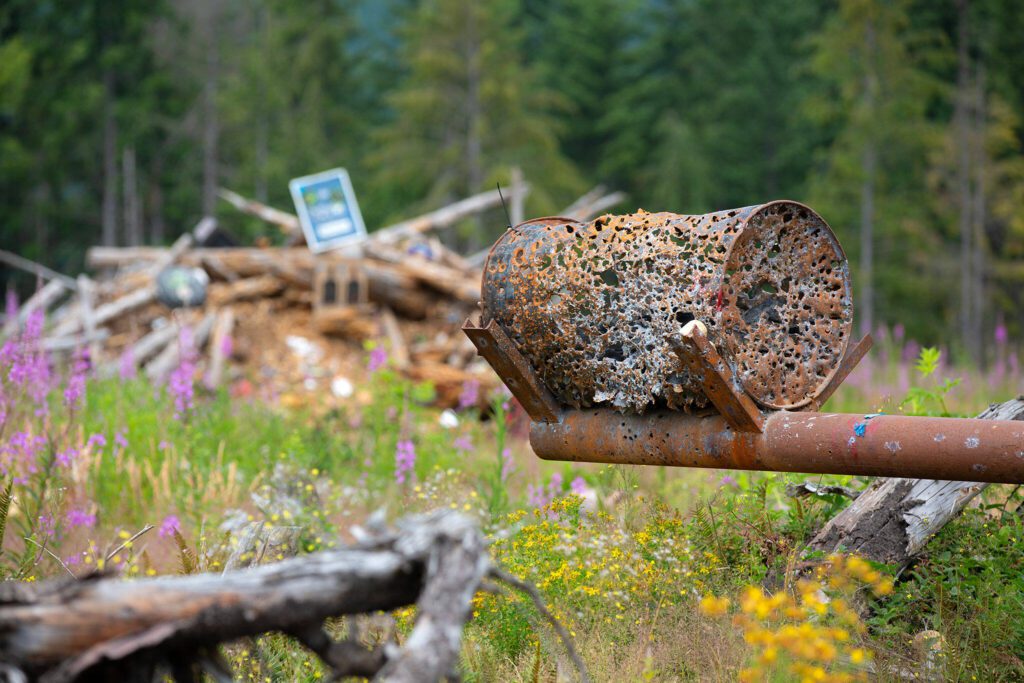 An old oil drum filled with rocks approaches disintegration due to the number times it has been shot at a shooting pit along Green Mountain Road on Wednesday, July 17, 2024, near Granite Falls, Washington. (Ryan Berry / The Herald)

