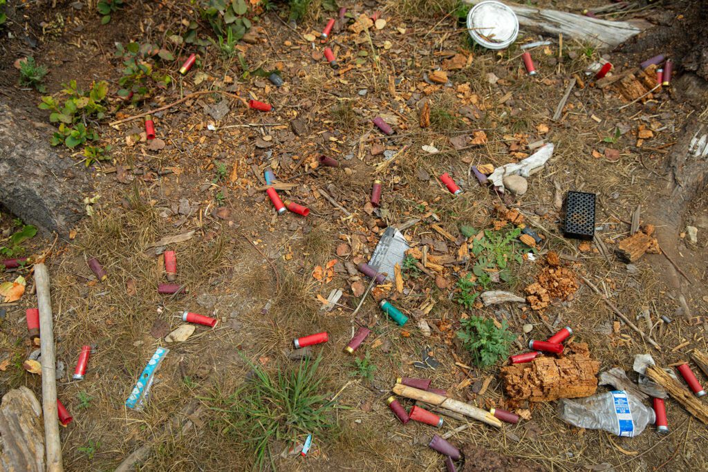 Spent shotgun shells and trash litter every inch of clearcut forest surrounding an unofficial shooting pit on Wednesday, July 17, 2024, near Granite Falls, Washington. (Ryan Berry / The Herald)
