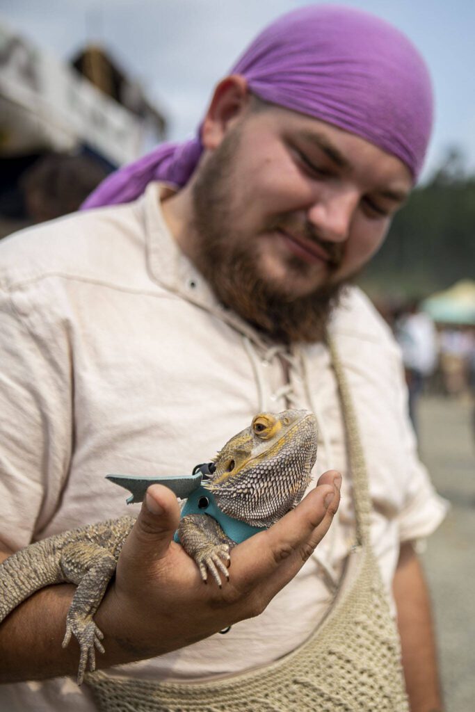 Jason Link, 26, of Beaverton, Oregon, looks at his bearded dragon Lizzie, 4, during the Washington Midsummer Renaissance Faire at Sky Meadows Park in Snohomish, Washington, on Sunday, Aug. 6, 2023. (Annie Barker / The Herald)
