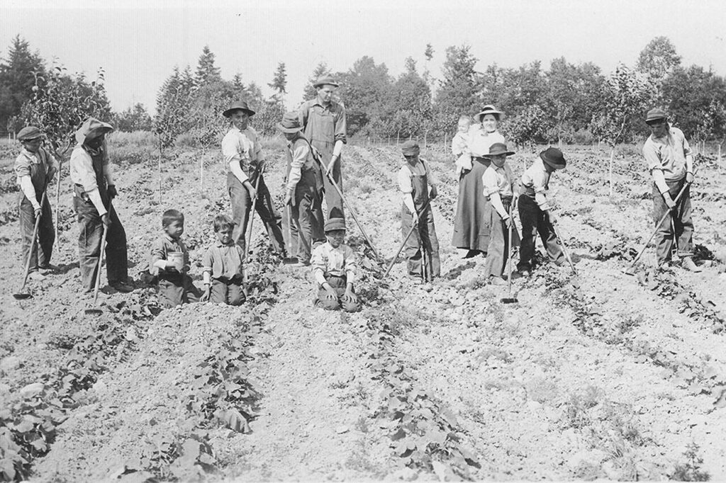 Half of students’ school days were spent doing manual labor. These boys tended to the Tulalip Indian School’s garden. (Hibulb Cultural Center)
