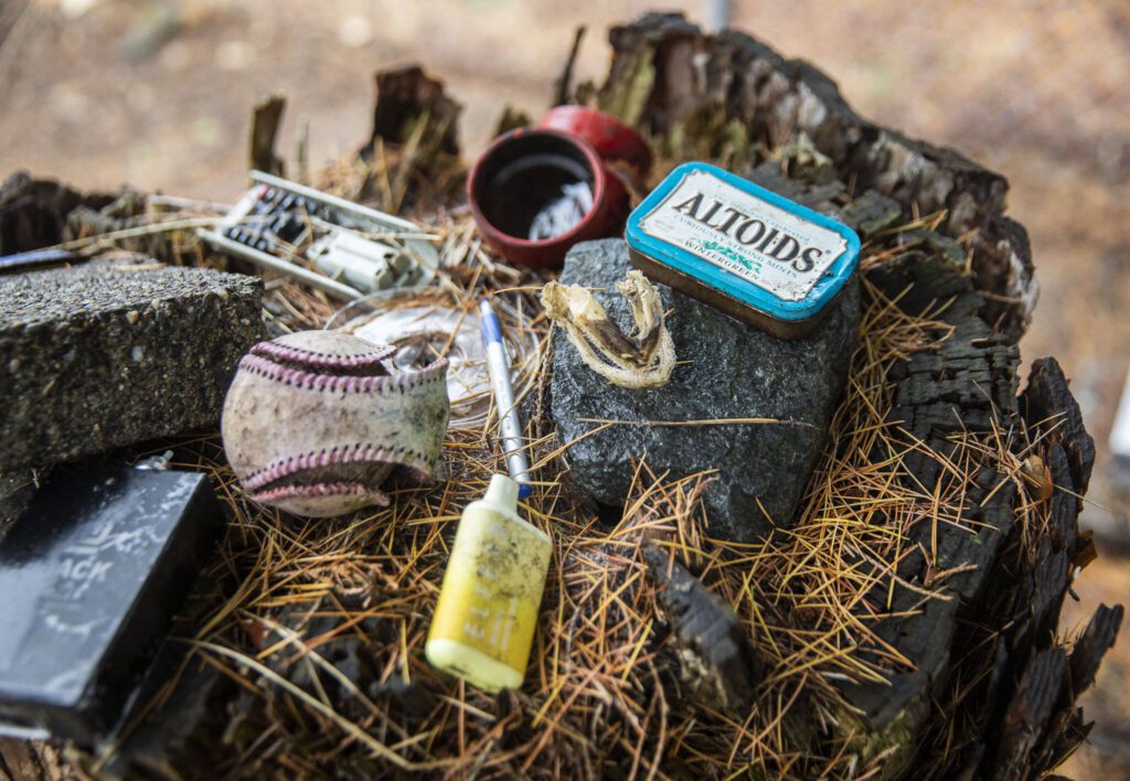 A random assortment of items found during the greenhouse cleanup on Monday in Marysville. (Olivia Vanni / The Herald)
