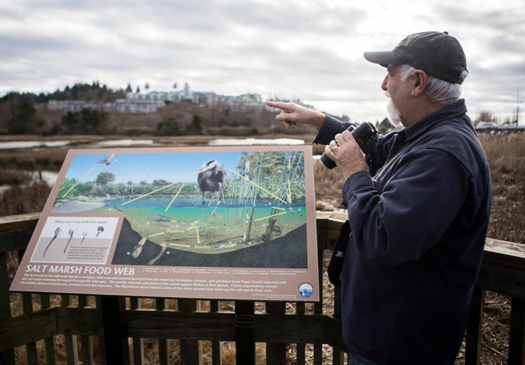 Joe Scordino points to a bird he has spotted out in the Edmonds Marsh in February 2022. (Olivia Vanni / The Herald)
