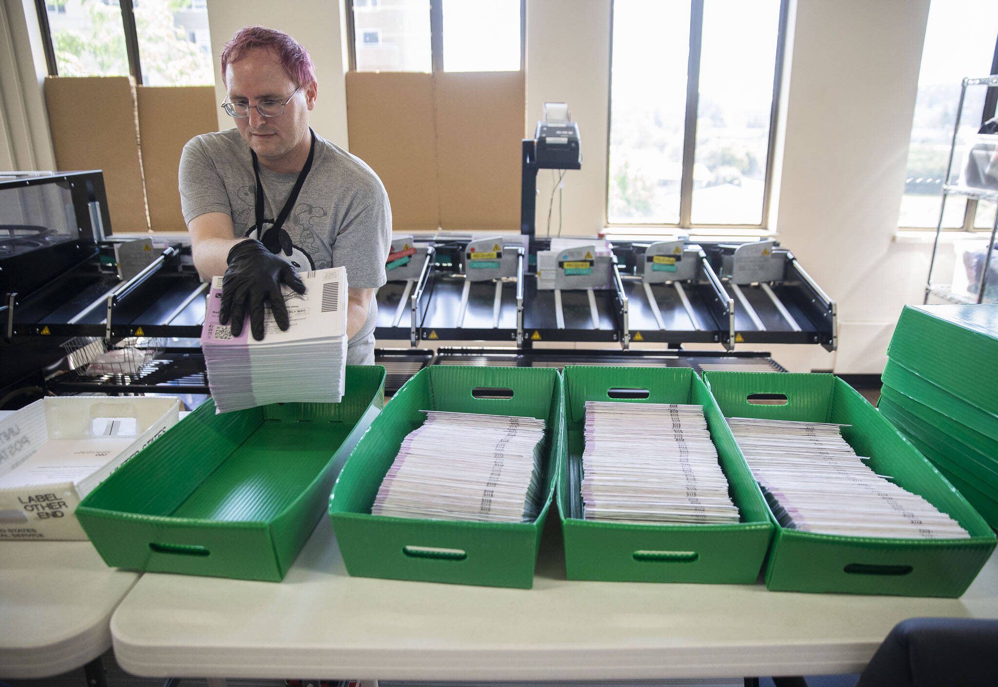 Simon Krane transfers ballots into boxes at the county elections center on Monday, Aug. 5, 2024, in Everett, Washington. (Olivia Vanni / The Herald)