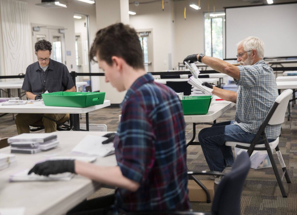 Election workers open ballots on Monday, Aug. 5, 2024 in Everett, Washington. (Olivia Vanni / The Herald)
