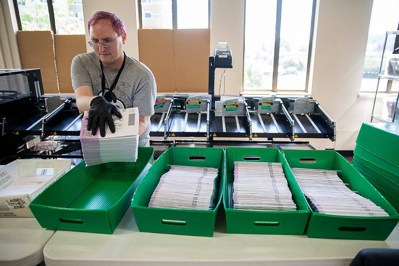 Simon Krane transfers ballots into boxes at the county elections center on Monday, Aug. 5, 2024 in Everett, Washington. (Olivia Vanni / The Herald)