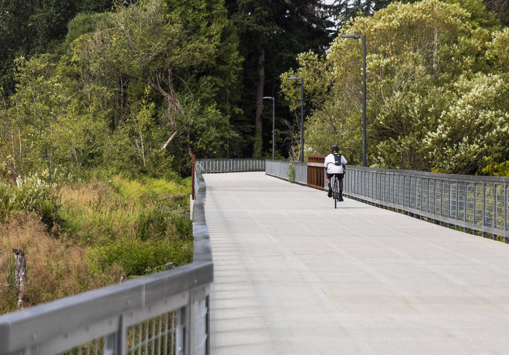 Olivia Vanni / The Herald 
A cyclist rides along the updated Scriber Creek Trail on Aug. 12 in Lynnwood.