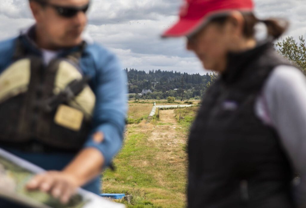 A City of Everett water transmission line that runs through the Chinook Marsh project site on Tuesday, Aug. 13, 2024 in Snohomish, Washington. (Olivia Vanni / The Herald)
