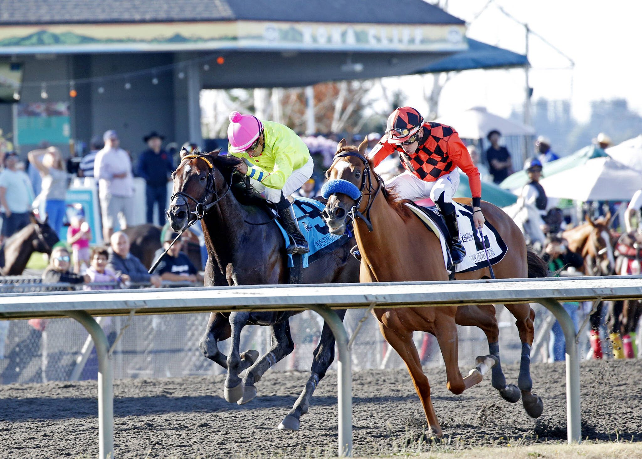 Five Star General (left) edges past Clovisconnection at the wire to win the Longacres Mile on Sunday at Emerald Downs. (Photo courtesy of Emerald Downs)