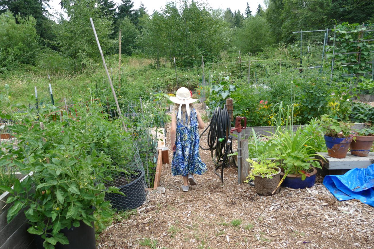 Olivia Bolen walks through the Mukilteo Community Garden in 2022. (Julie Titone)