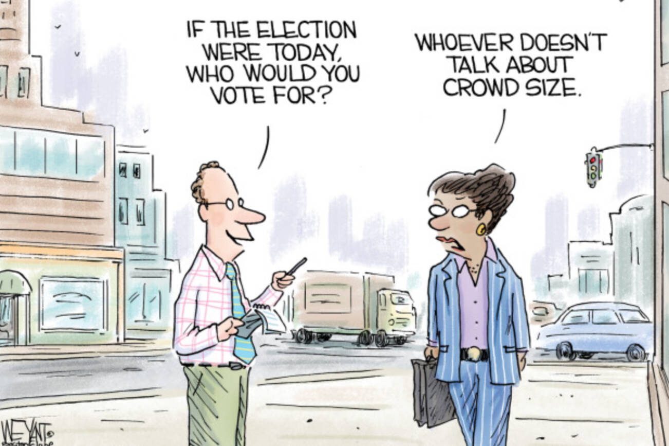 toon
